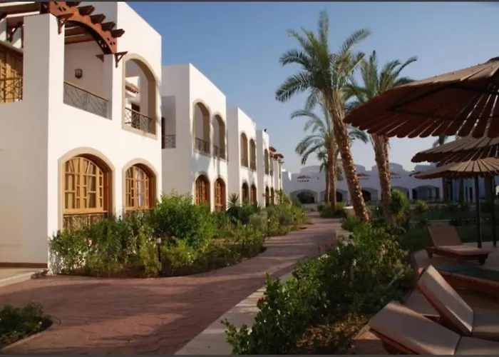 فندق مبيت وإفطار Reale Savoia